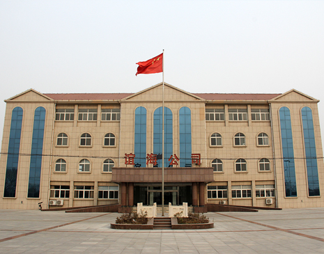 北京代孕公司